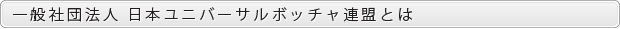 一般社団法人社団法人 日本ユニバーサルボッチャ連盟とは