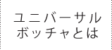 ユニバーサルボッチャとは