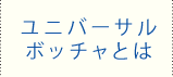 ユニバーサルボッチャとは