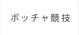 ボッチャ競技